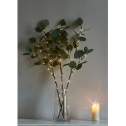 Ветвь эвкалипта имитация 62см 32LED тепл. бел. IP44 6ч таймер кабель корич. 50см (уп.3шт) КОСМОС KOC_INT-B131