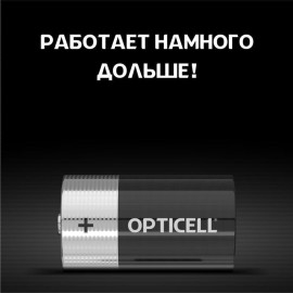 Элемент питания алкалиновый D/LR20 1.5В (блист. 2шт) Basic Opticell 5051005/6051005