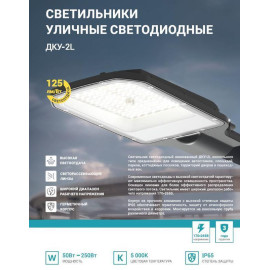 Светильник уличный линзованный светодиодный ДКУ-2L 70Вт 230В 5000К 8750лм 125лм/Вт 42-48мм IP65 NEOX 4690612057088