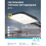 Светильник уличный линзованный светодиодный ДКУ-2L 120Вт 230В 5000К 15000лм 125лм/Вт 48-70мм IP65 NEOX 4690612057095
