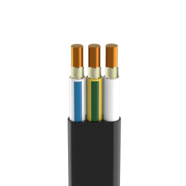 Кабель ВВГ-Пнг(А)-FRLSLTx 3х2.5 ОК (N PE) 0.66кВ (уп.100м) Кабэкс ТХМ00407771