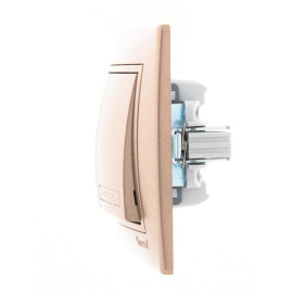 Выключатель 2-кл. СП Mira 10А IP20 со вставкой свет. корич. перламутр. LEZARD 701-3131-101