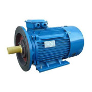 Электродвигатель 5АИ 180 S4 22/1500 IM2001 Элком 01.01.213696