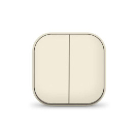 Выключатель 2-кл. 1п ОП 10А IP20 сл. кость IONICH 1425