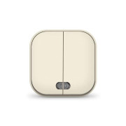 Выключатель 2-кл. 1п ОП 10А IP20 с подсветкой сл. кость IONICH 1426