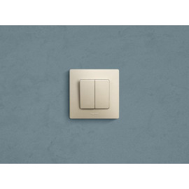 Выключатель 2-кл. СП Etika 10А IP20 250В 10AX безвинтов. зажимы механизм сл. кость IEK 672302