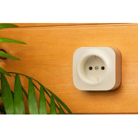 Розетка 1-м ОП Quteo 16А IP20 2P без заземл. без защ. шторок сл. кость IEK 782240