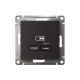 Розетка USB AtlasDesign тип C 65Вт QC PD высокоскор. ЗУ механизм карбон SE ATN001027