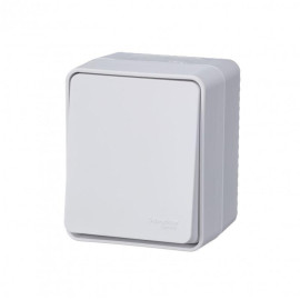 Переключатель проходной 1-кл. ОП AtlasDesign PROFI IP54 10AX бел. SE ATN540161