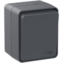 Переключатель проходной 1-кл. ОП AtlasDesign PROFI IP54 10AX антрацит SE ATN544061