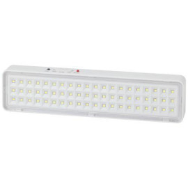 Светильник светодиодный DBA-103-0-20 60LED 5ч IP20 аварийный непостоянный Эра Б0044396