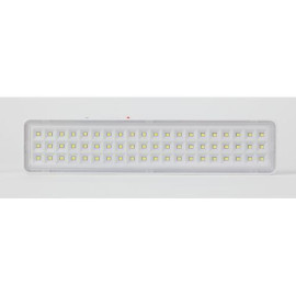 Светильник светодиодный DBA-103-0-20 60LED 5ч IP20 аварийный непостоянный Эра Б0044396