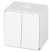 Переключатель Эксперт 11-1506-01 двойн. IP55 10АХ-250В ОУ бел. Эра Б0063295