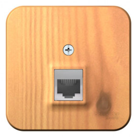 Розетка компьютерная 1-м ОП Blanca RJ45 кат.5E с изолир. пластиной ясень SE BLNIA045005