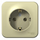 Розетка 1-м ОП Blanca 16А IP20 250В с заземл. без защ. шторок с изолир. пластиной беж. SE BLNRA010117
