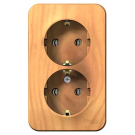 Розетка 2-м ОП Blanca 16А IP20 250В с заземл. без защ. шторок с изолир. пластиной ясень SE BLNRA010215