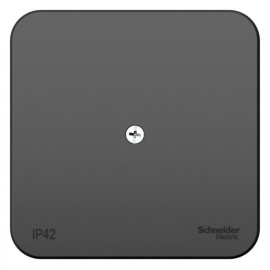 Коробка распределительная ОП Blanca IP42 антрацит SE BLNRK000016
