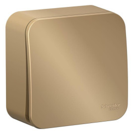 Выключатель 1-кл. ОП Blanca 10А IP20 (сх. 1) 250В с изолир. пластиной титан SE BLNVA101014