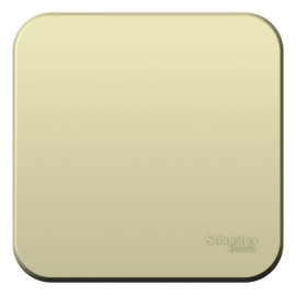 Выключатель 1-кл. ОП Blanca 10А IP20 (сх. 1) 250В с изолир. пластиной беж. SE BLNVA101017