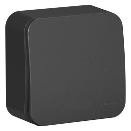 Выключатель 1-кл. ОП Blanca 10А IP20 (сх. 1) 250В с подсветкой с изолир. пластиной антрацит SE BLNVA101116