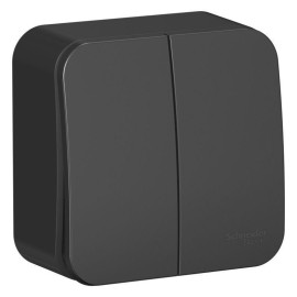 Выключатель 2-кл. ОП Blanca 10А IP20 (сх. 5) 250В с изолир. пластиной антрацит SE BLNVA105016