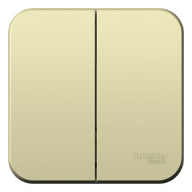 Выключатель 2-кл. ОП Blanca 10А IP20 (сх. 5) 250В с изолир. пластиной беж. SE BLNVA105017