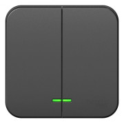 Выключатель 2-кл. ОП Blanca 10А IP20 (сх. 5) 250В с подсветкой с изолир. пластиной антрацит SE BLNVA105116