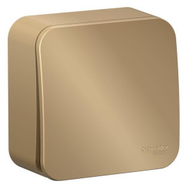 Переключатель проходной 1-кл. ОП Blanca 10А IP20 (сх. 6) 250В с изолир. пластиной титан SE BLNVA106014