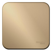 Переключатель проходной 1-кл. ОП Blanca 10А IP20 (сх. 6) 250В с изолир. пластиной титан SE BLNVA106014