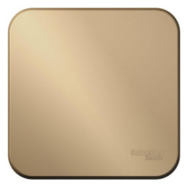 Переключатель проходной 1-кл. ОП Blanca 10А IP20 (сх. 6) 250В с изолир. пластиной титан SE BLNVA106014