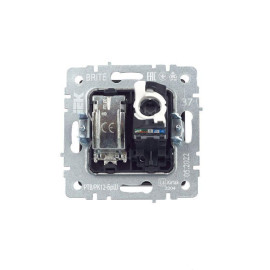 Розетка компьютерная + телевизионная 2-м Brite РТВ/РК12-БрШ RJ45 кат.5E + TV механизм шампань IEK BR-AK20-1-K37