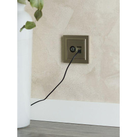 Розетка компьютерная + телевизионная 2-м Brite РТВ/РК12-БрШ RJ45 кат.5E + TV механизм шампань IEK BR-AK20-1-K37