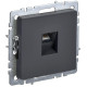 Розетка компьютерная СП RJ45 кат.5E BRITE РК10-БрГ механизм графит IEK BR-K10-1-K53