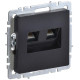 Розетка компьютерная двойн. СП RJ45 кат.5E BRITE РК10-2-БрЧ механизм черн. IEK BR-K20-1-K02