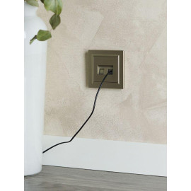 Розетка компьютерная двойн. СП RJ45 кат.5E BRITE РК10-2-БрШ механизм шампань IEK BR-K20-1-K37