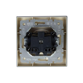 Розетка СП BRITE РСР10-1-0-БрА 10А в сборе без заземл. без защ. шторок алюм. IEK BR-R10-10-K47-F