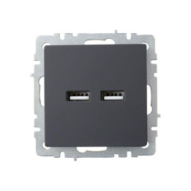 Розетка BRITE USB A+A 3.1А РЮ10-1-БрГ механизм графит IEK BR-U21-D31-K53