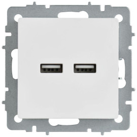 Розетка BRITE РЮ10-1-БрАБ USB A+A 3.1А механизм арктич. бел. IEK BR-U21-D31-K91