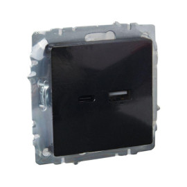 Розетка BRITE USB A+C 18Вт РЮ11-1-БрЧ механизм черн. IEK BR-U22-018-K02