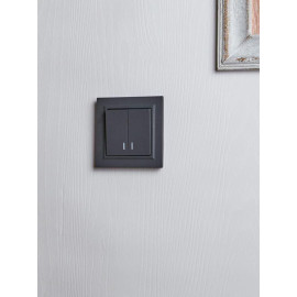 Выключатель 2-кл. СП BRITE ВС10-2-1-БрГ 10А с индик. механизм графит IEK BR-V20-1-10-K53