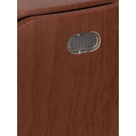 Выключатель 1-кл. ОП GLORY 10А ВС20-1-1-ХД с индикацией дуб IEK EVH11-K24-10