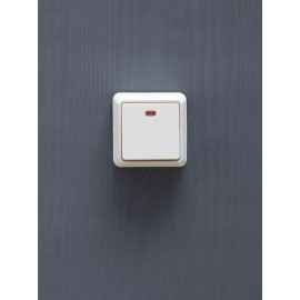 Выключатель 1-кл. ОП Октава 10А IP20 ВС20-1-1-ОБ с индикацией бел. GENERICA EVO11-K01-10-DC