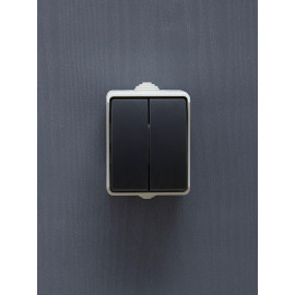 Выключатель 2-кл. ОП Форс 10А IP54 ВС20-2-0-ФСр сер. IEK EVS20-K03-10-54-DC