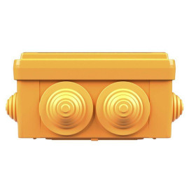 Коробка ответвительная FS 100х100х50мм IP55 5п 450В 10А 6кв.мм с кабельными вводами и клеммниками пластик. DKC FSB11506