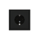 Розетка ArtGallery 16А с заземл. механизм карбон SE GAL001043