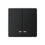 Выключатель 2-кл. ArtGallery (сх. 5а) 10AX с подсветкой механизм карбон SE GAL001053