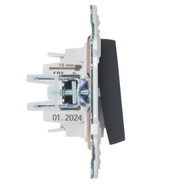 Выключатель 1-кл. SKANDY 10А SK-V07G с индикацией графит IEK SK-V10-1-10-K53