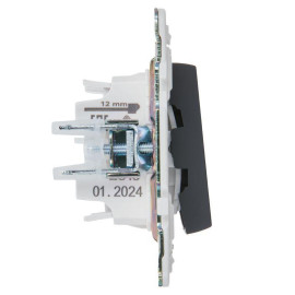 Выключатель проходной 2-кл. SKANDY 10А SK-V10G с индикацией графит IEK SK-V22-1-10-K53