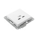 Розетка 2-м СП Эпика USB-C механизм бел. EKF UP1-SOW-2USBC