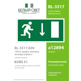 Пластина BL-3517.E09 "Указатель двери эвакуационного выхода (прав.)" Белый свет a12894